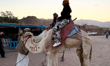 SHARM EL SHEIKH TURU 5* CONCORDE EL SALAM FRONT HERŞEY DAHİL 