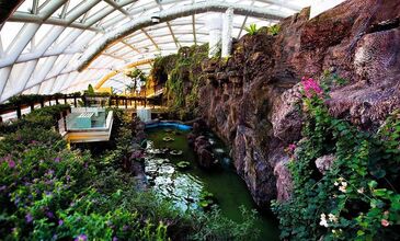 KONYA TURU ve ŞEB-İ ARUS TÖRENLERİ