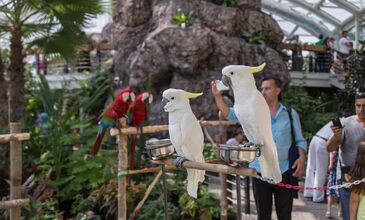 KONYA TURU ve ŞEB-İ ARUS TÖRENLERİ