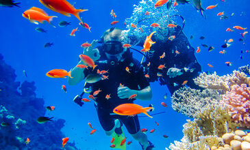 SHARM EL SHEIKH TURU 5* CONCORDE EL SALAM FRONT HERŞEY DAHİL 