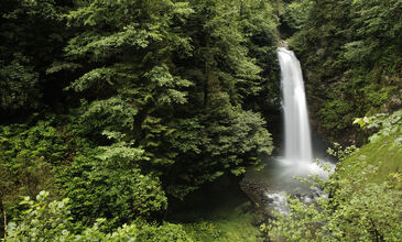 OTOBÜSLÜ BOYDAN BOYDA KARADENİZ VE BATUM TURU